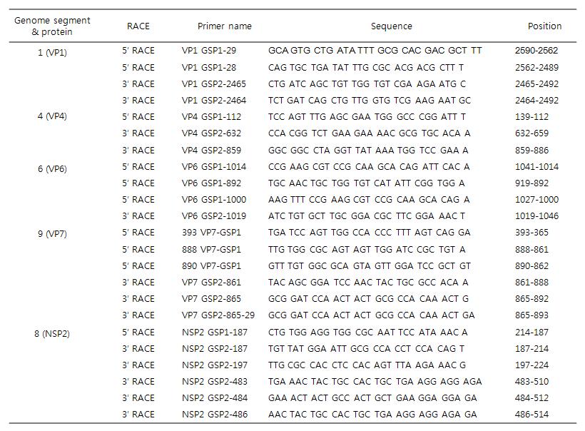 Gene specific primers for the RACE PCR