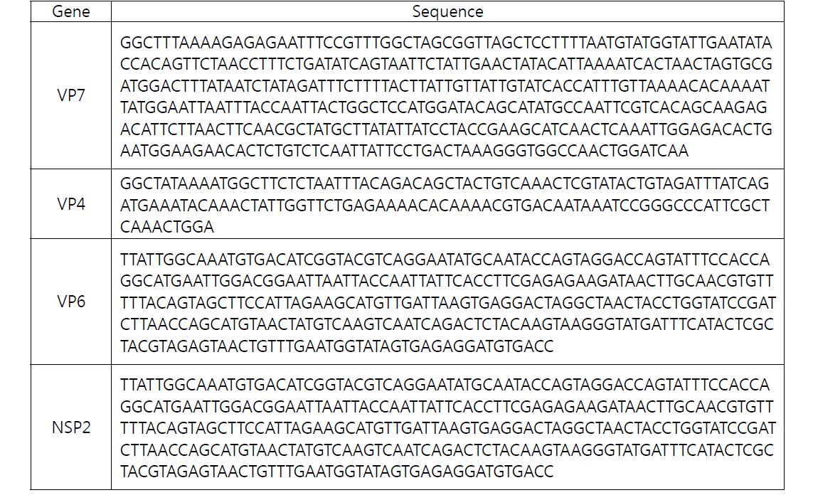 5' nucleotide sequence of VP7, VP4, VP6, NSP2 genes using the 5‘ RACE PCR