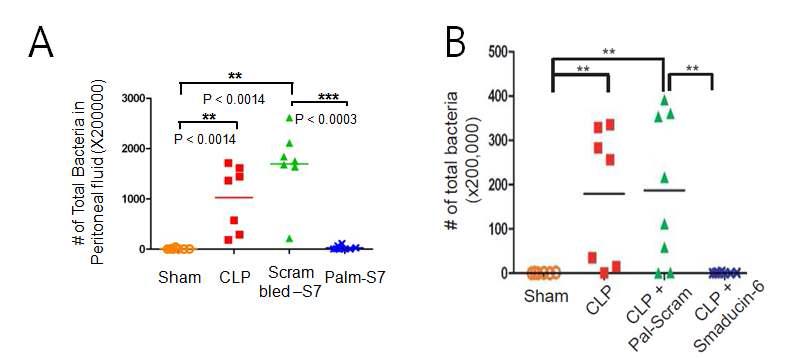 마우스 패혈증 모델에서 (A) Smaducin-7(Pal-S7)과 (B)Smaducin-6에 의한 bacterial clearance 효과 분석