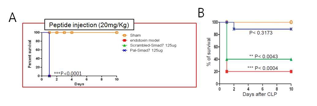 마우스 패혈증 쇼크 모델에서 Smaducin-7과 Smaducin-6 펩타이드에 의한 생존률 분석