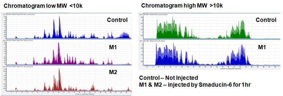 정상 마우스에 Smaducin-6를 피하주입하고 1시간 후 분리된 혈액 중에서 10,000Da (10 kDa)이하의 저분자량 단백질에서의 peak 분석 (M 1과 M2)과 10kDa 이상의 분자량을 가진 단백질에서 peak 분석 (M 1)
