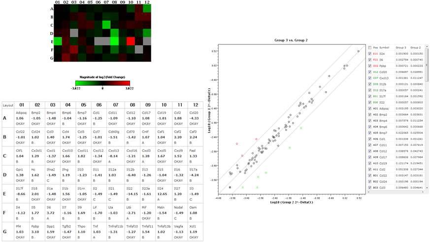 qPCR array를 사용한 cytokine의 발현 변화