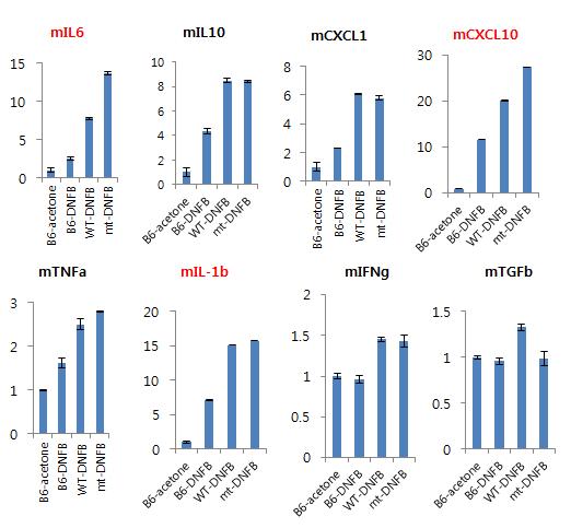 발현에 차이를 보이는 cytokine들에 대한 qPCR 결과