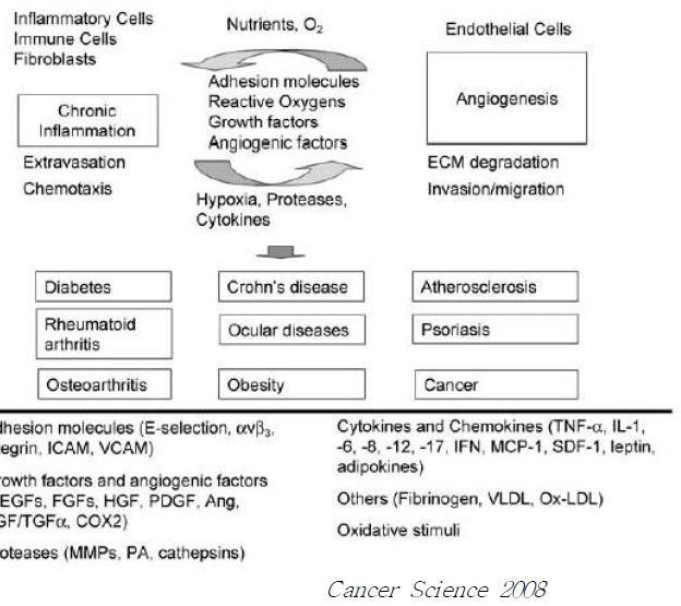 Several factors are common in angiogenesis and inflammation