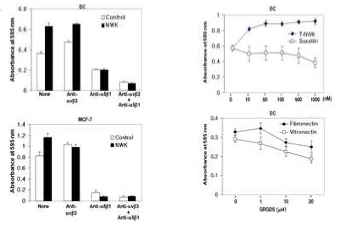 디스인테그린에 의한 암세포의 cell adhesion 변화