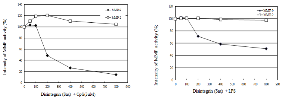 면역반응 유도물질에 의해 이동성이 증가되는 면역세포에서 세포외기질효소 MMP-9의 활성과 디스인테그린의 농도변화에 의한 조절
