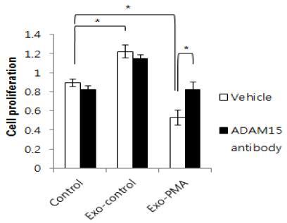 PMA-induced exosomal ADAM15dp 의한 세포성장 제어활성과 antagonist anti-ADAM15 Ab에 의한 exosomal ADAM15의 활성제어