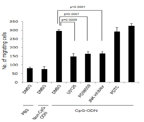 Macrophage-derived PAI-1의 세포이동 증가활성이 세포신호전달 과정 억제제에 의해 제어되는 효과