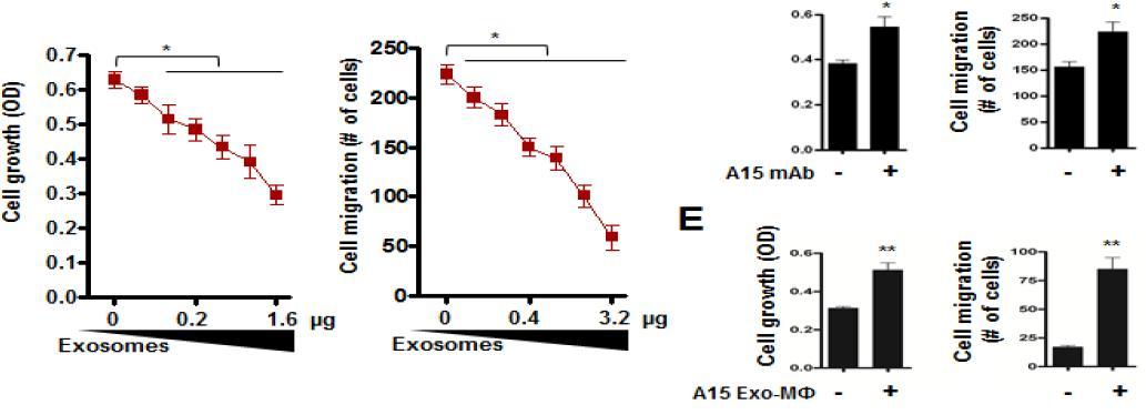 Exosomal ADAM 15에 의한 종양성장 억제