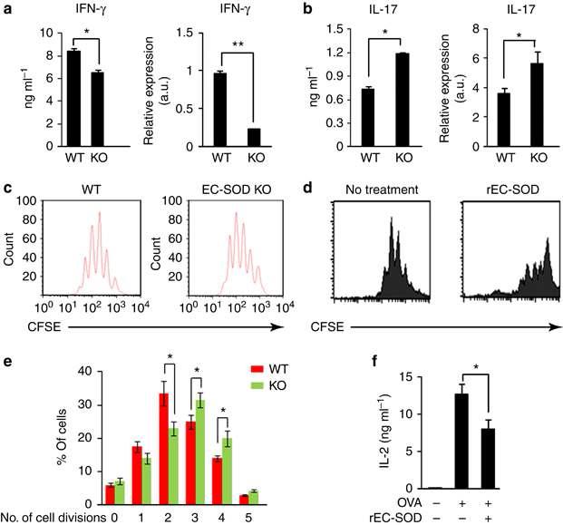 EC-SOD KO CD4 T cell은 Th17세포로 분화가 더욱 많이 되었으며, 세포활성에 의한 세포증식도 더욱 빨리 되었음.