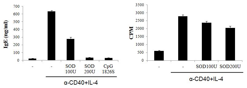 rEC-SOD는 B세포에서 IgE의 생성과 증식을 억제함