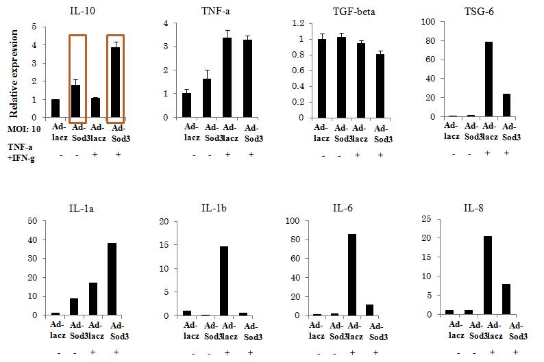 MSC에서 SOD3의 과발현은 TNF-a와 IFN-g에 의한 pro-inflammatory 사이토카인의 발현을 억제하고 anti-inflammatory 사이토카인인 IL-10의 발현을 증가시킴.
