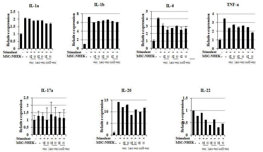 SOD3가 과발현되는 MSC는 keratinocyte와 co-culture 시에 keratinocyte에서 IL-22와 TNF-a의 발현을 억제함.