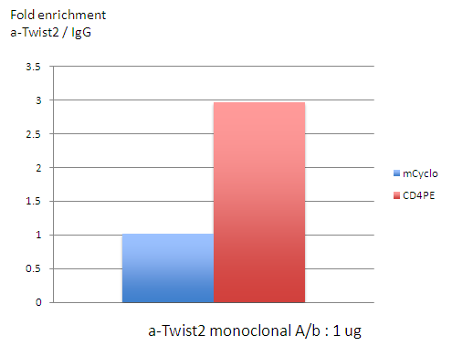 Flag 항체를 이용한 Twist2 타겟의 ChIP assay 결과물을 qRT-PCR로 분석한 결과.