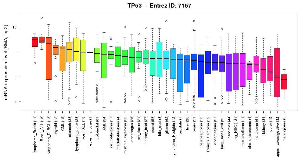 1000개의 암종에서 TP53의 mRNA 발현 분포.