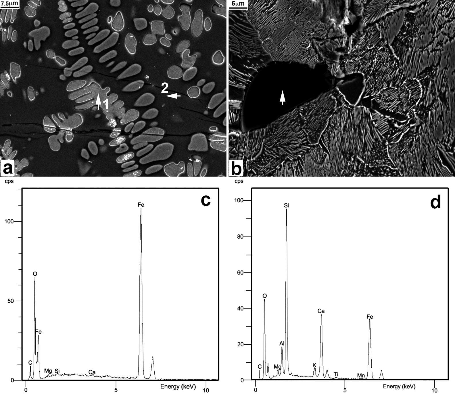 SEM micrographs and EDS spectra. (a), (b) SEM micrographs at 1,500x and 2,000x magnification, showing details of the areas marked by arrow 1 and 2 in Fig. 3d, respectively; (c), (d) EDS spectra taken from the spots at arrow 1 and 2 in Fig. 4a, respectively.