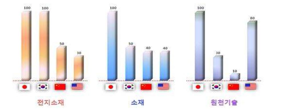 세계 전지 시장에서의 기술 격차 모식도