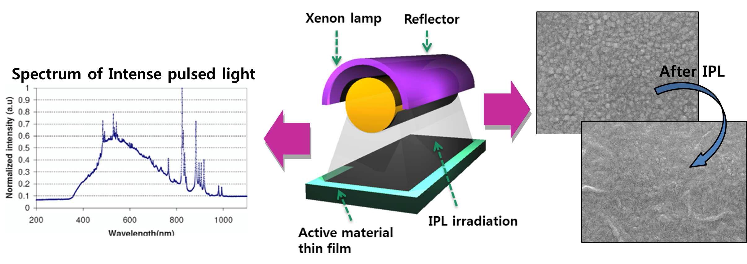 IPL(Intense Pulsed Light) 공정의 모식도