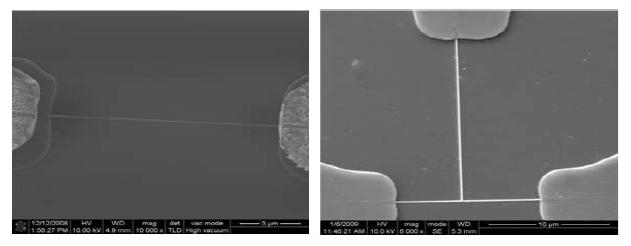 제작된 소자의 SEM 사진: 일자형 100 nm (좌),T 자형 100 nm (우)
