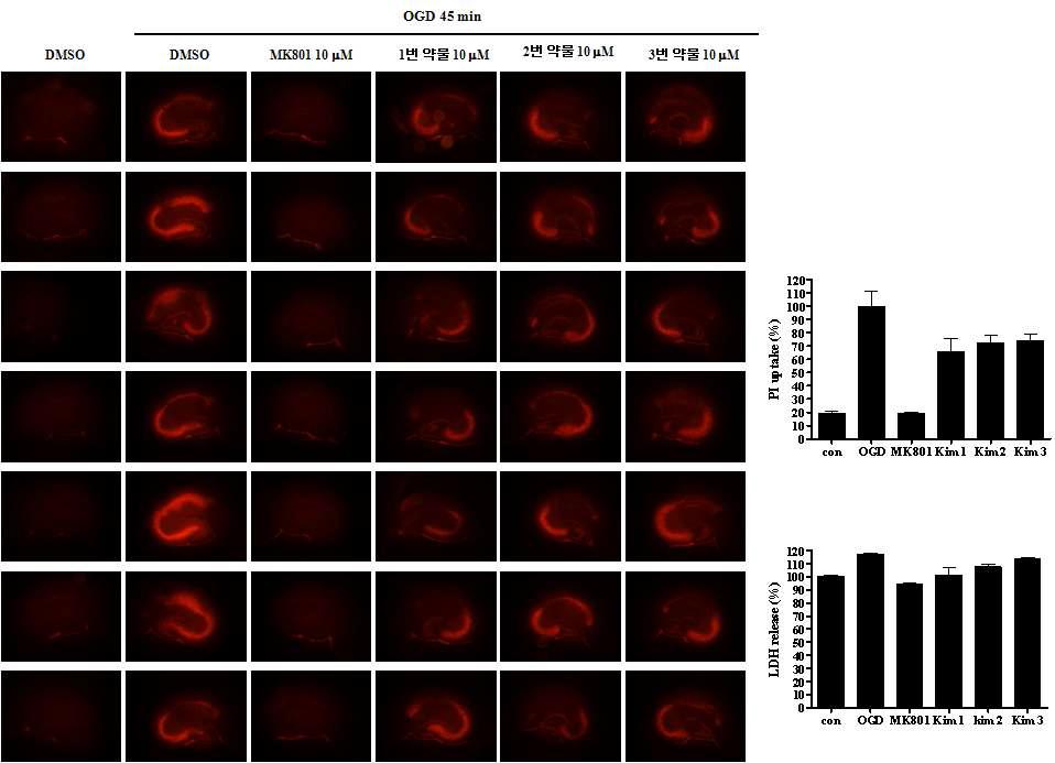 Cell death-based functional assay usingorganotypic cultured slices