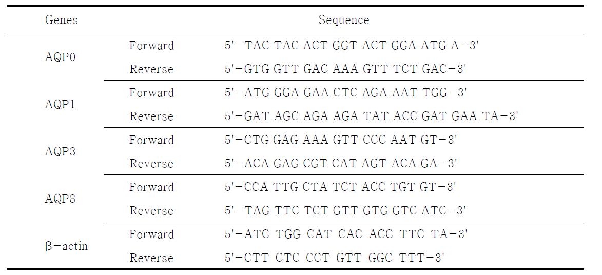 Primers for QPCR