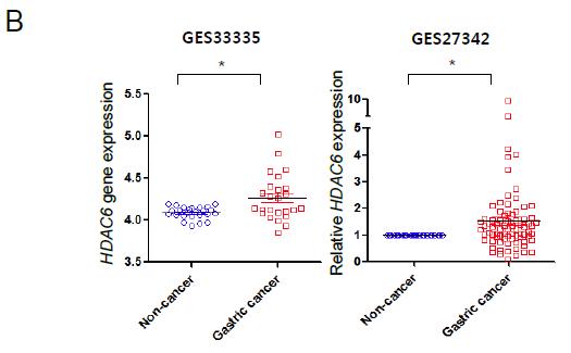 NCBI GEO 데이터셋에서의 HDAC6 mRNA 발현 양상