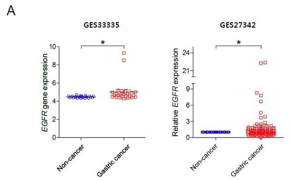 NCBI GEO 데이터셋에서의 EGFR mRNA 발현 양상