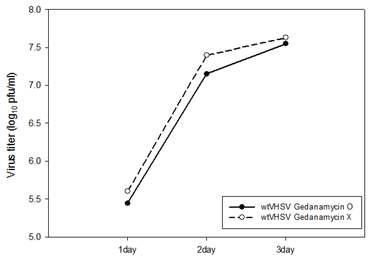 Effect of geldanamycin on wild-type VHSV replication in EPC cells.