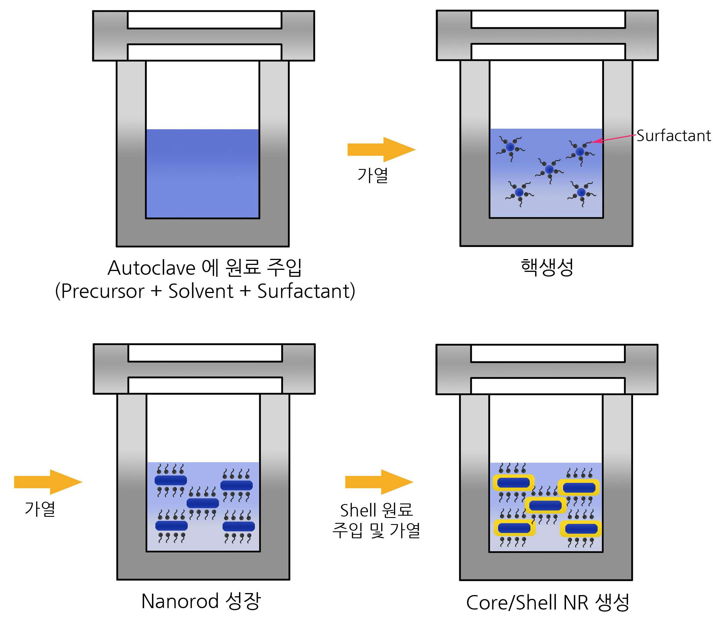 Schematic diagram showing the possible route for the core/shell NR formation.