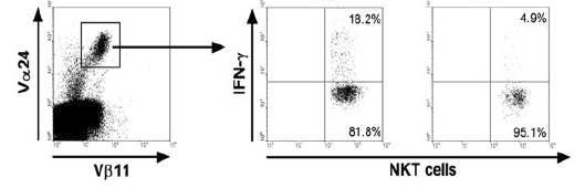 정상대조군과 만성감염성환자군(TB)의 α-GalCer에 의한 NKT 세포내 Cytokine 분비능력 평가