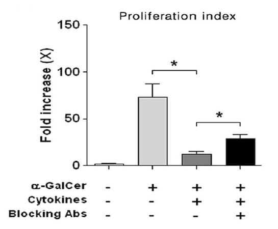 Proinflammatory cytokine이 NKT세포 분열에 미치는 영향 평가