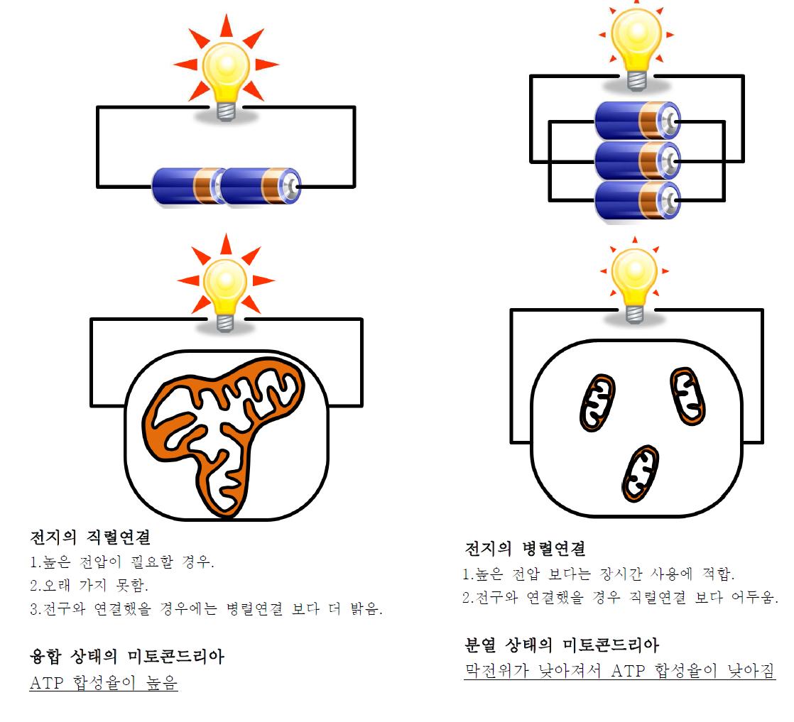 에너지 소비량에 따른 에너지 생성의 효율성