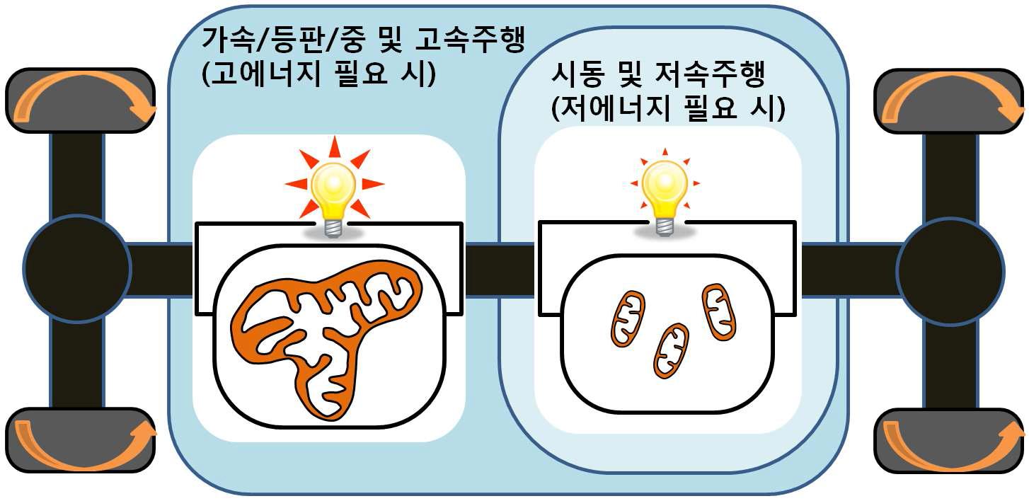 에너지 소비량에 따른 에너지 생성의 효율성