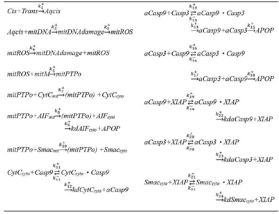Descriptions of reactions: k+, forwardrateconstantofreaction; k– , reverserateconstantofreaction; kd, degradation rate constant; aCasp3, activated caspase-3.