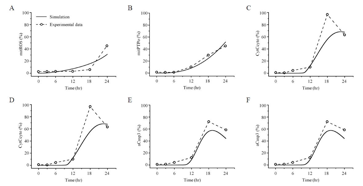 Comparisons between simulations and experimental observations in 50 μM cisplatin