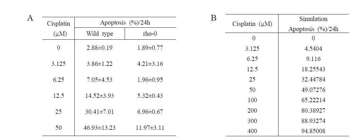 Effect of cisplatin on cellular generation of ROS and apoptosis in H2052 and their ρ0 cells