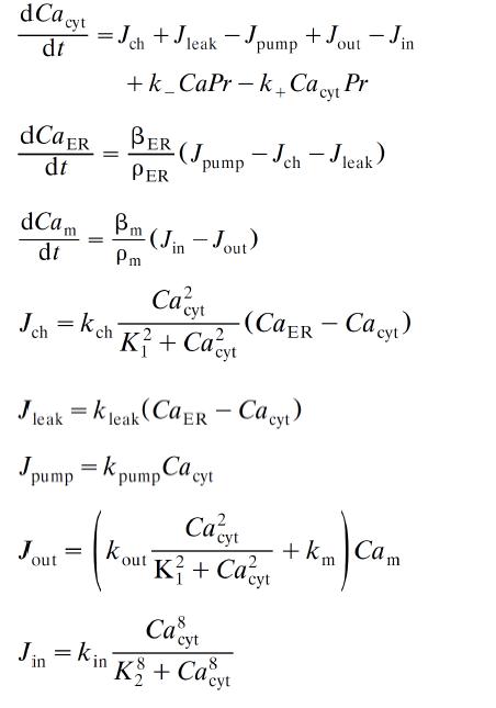 Equations for computer model