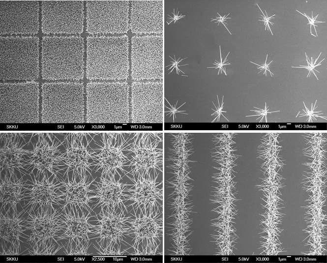 여러 가지 형태의 ZnO seed 패턴에서 CVD 방법을 통해 성장된 ZnO 나노와이어