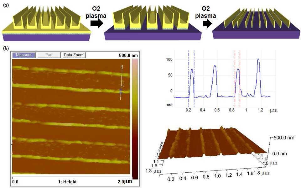 Oxygen plasma 과정을 거친 후의 패턴의 AFM 이미지 (2D and 3D)