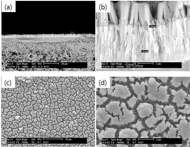장기 안정성 테스트 후 나노이종복합체 경사구조 공기극이 적용된 단전지의 미세구조. (a) 저배율 단면구조; (b) 고배율 단면구조; (c) 저배율 표면구조; (d) 고배율 표면구조.