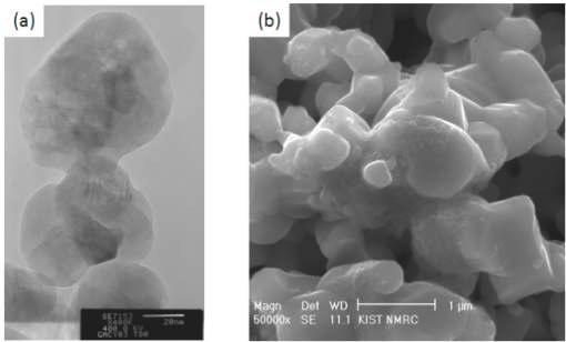 분말공정 기반 SOFC 전극의 구조 (a) 시작 나노분말 (b) 전극 소결 후의 미세구조