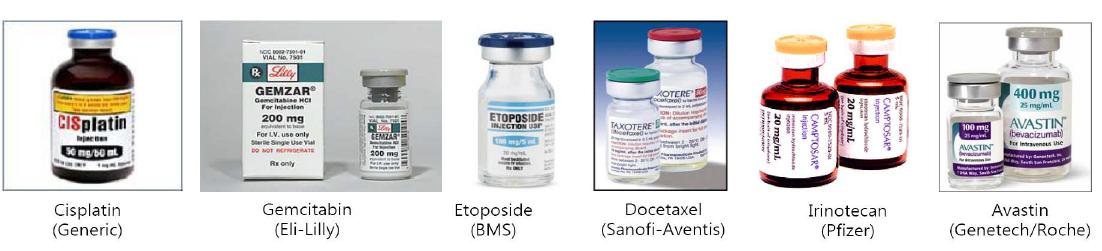 시판 중인 다양한 폐암치료제 (화학요법제∼항체 항암제)
