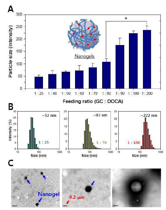 글리콜키토산 (GC)와 데옥시콜린산 (DOCA)의 feeding ratio에 따른 나노겔의 입자크기 (A), (B) 및 제조된 나노겔의 transmission electron microscopy (TEM) 사진 (C)