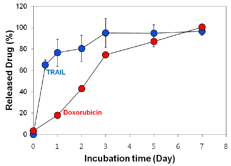 약물 봉입 다공성 마이크로입자로부터 독소루비신과 TRAIL의 방출 프로파일