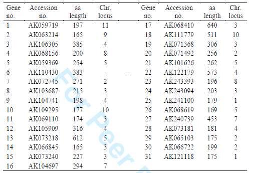 List of rice full-length cDNAs for GCN5 - related N-acetyltransferases (GNAT)