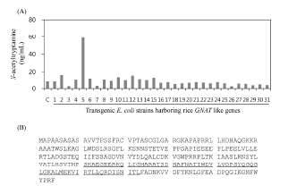 (A) Product analysis and (B) amino acid sequence of SNAT. The transgenic Escherichia coli strains harboring rice GNAT cDNA were induced for 12 hr in the presence of IPTG and 1 mm tryptamine. Quantification of N-acetyltryptamine by HPLC was obtained from bacterial pellets. The conserved motif for acetyl-CoA binding is underlined