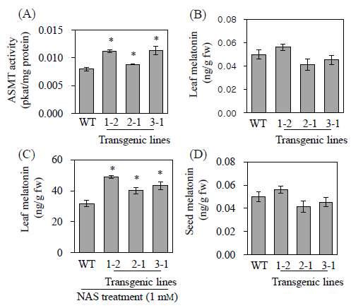 Biochemical characterization of transgenic rice plants overexpressing ASMT isogenes.