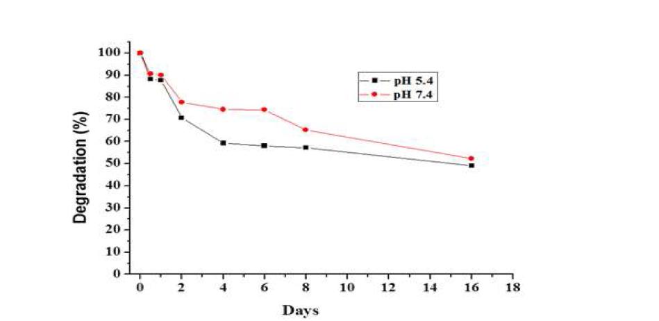 폴리포스파젠 back bone의 in vitro 생분해실험 결과