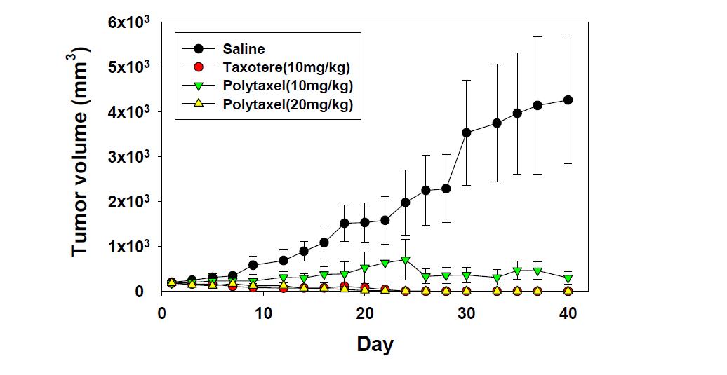 위암세포주 MKN-28로 유발된 암 모델에서의 Polytaxel과 Taxotere의 항암 효능