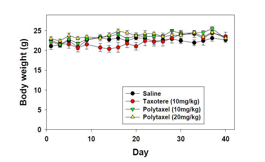 위암세포주 MKN-28로 유발된 암 모델에서의 약물 투여 후의 체중 변화